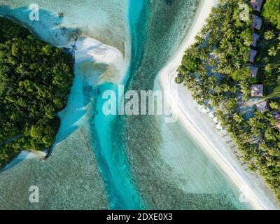 Malediven, Kaafu Atoll, Luftaufnahme von Bäumen, die entlang der Küste der Huraa-Insel wachsen Stockfoto