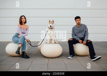 Freund und Freundin sitzen bei Hund mit sozialer Distanz Weiße Betonkugel an der Wand Stockfoto