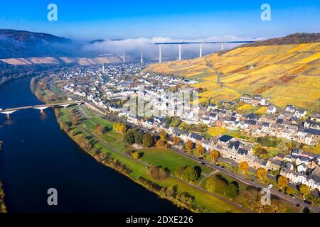 Luftaufnahme, Deutschland, Rheinland-Pfalz, Zeltingen - Rachtig, Mosel, Hochmoselbrücke über Fluss Mosel, Weinberge im Herbst, Stockfoto