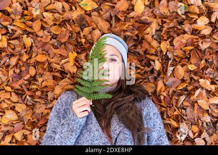 Schöne Frau, die sich auf Herbstblättern legt, während sie das Gesicht bedeckt Mit Farnblatt im Cannock Chase Wald Stockfoto
