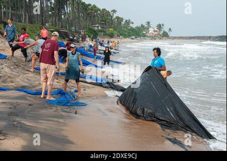 AUROVILLE, INDIEN - Dezember 2020: Tag der Reinigung, um Plastik zu entfernen, die am Strand als Schutz gegen die Meereserosion zurückgelassen wurden Stockfoto