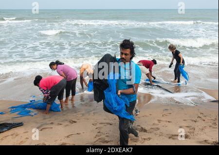 AUROVILLE, INDIEN - Dezember 2020: Tag der Reinigung, um Plastik zu entfernen, die am Strand als Schutz gegen die Meereserosion zurückgelassen wurden Stockfoto