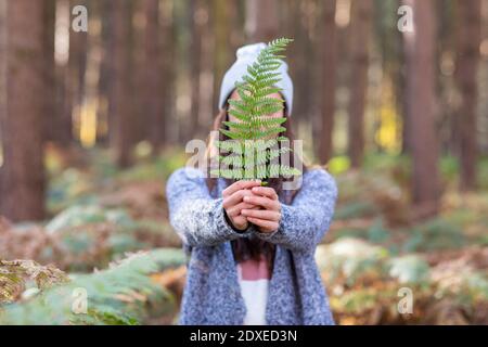 Frau bedeckt das Gesicht mit Farnblättern, während sie in Cannock steht Jagen Sie den Wald Stockfoto