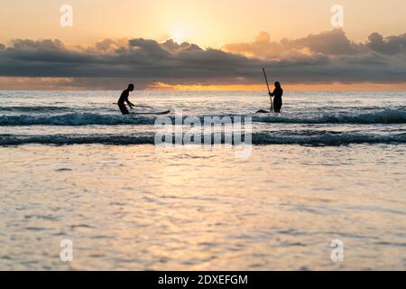 Freunde surfen mit dem Paddleboard auf dem Meer gegen den Himmel in der Dämmerung Stockfoto