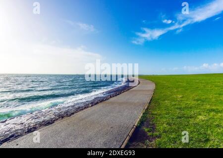 Küstenwanderweg und Feld Stockfoto