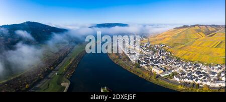 Luftaufnahme, Deutschland, Rheinland-Pfalz, Zeltingen - Rachtig, Mosel, Hochmoselbrücke über Fluss Mosel, Weinberge im Herbst, Stockfoto