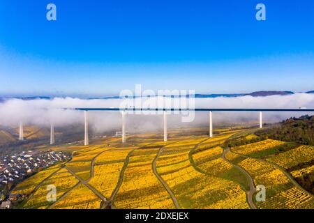 Luftaufnahme, Deutschland, Rheinland-Pfalz, Zeltingen - Rachtig, Mosel, Hochmoselbrücke über Fluss Mosel, Weinberge im Herbst, Stockfoto