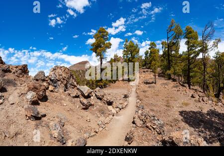 Fußweg in Richtung Sombrero de Chasna, Teide Nationalpark, Teneriffa, Kanarische Inseln, Spanien Stockfoto