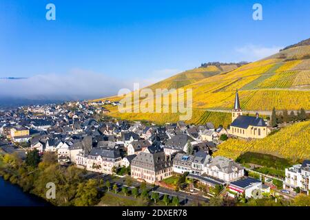 Luftaufnahme, Deutschland, Rheinland-Pfalz, Zeltingen - Rachtig, Mosel, Weinberge im Herbst Stockfoto