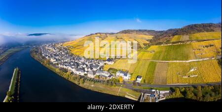 Luftaufnahme, Deutschland, Rheinland-Pfalz, Zeltingen - Rachtig, Mosel, Hochmoselbrücke über Fluss Mosel, Weinberge im Herbst, Stockfoto