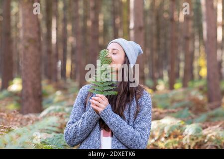 Weibliche Wanderin, die Farnblatt hält, während sie in Cannock Chase steht Waldgebiet Stockfoto