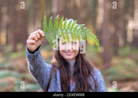 Lächelnde Wanderin, die Farnblatt hält, während sie in Cannock steht Jagen Sie Waldland Stockfoto