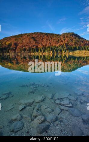 Landschaftlich schöner Blick auf den herbstlichen Wald, der sich im Walchensee spiegelt Stockfoto