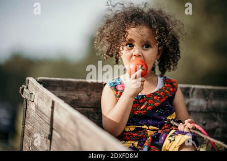 Mädchen suchen beim Essen Tomate sitzen in LKW Stockfoto