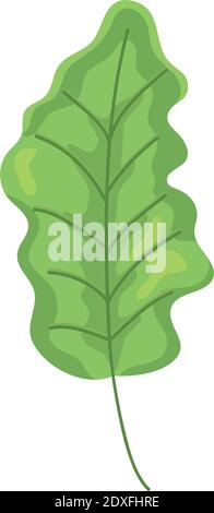 Eichenblatt Symbol auf weißem Hintergrund, buntes Design, Vektor-Illustration Stock Vektor