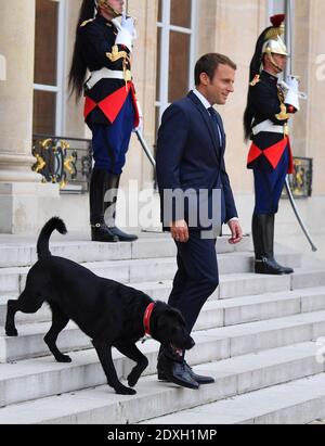 Datei Foto vom 28. August 2017 von Präsident Emmanuel Macron und seinem Hund Nemo im Elysee Palast in Paris, Frankreich. Nemo, der Hund von Frankreichs Präsident Emmanuel Macron und seiner Frau Brigitte, ist in einem Video-Appell in sozialen Netzwerken erschienen, der die Menschen dazu auffordert, Haustiere "mit Bewusstsein" zu adoptieren."meine Geschichte beginnt mit einer Verlassenheit", heißt es unter der neugierigen Schnauze des schwarzen Labrador-Griffon-Kreuzes. 2017 vom Präsidentenpaar aus einem Tierschutzzentrum adoptiert. "Wie ich werden in Frankreich jedes Jahr 100,000 Tiere aufgegeben. Also zu Weihnachten adoptieren – aber mit Bewusstsein adoptieren Stockfoto