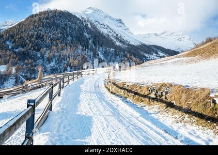 Landstraße am sonnigen Tag in der Nähe von Guarda Dorf, Unterengadin, Graubünden, Schweiz. Stockfoto