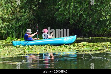 Vater und Sohn in Kayak paddeln durch Seerosen auf dem Fluss. Stockfoto