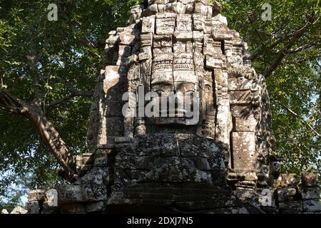 Großes Gesicht in die Wand des Ta Som Tempels geschnitzt Stockfoto