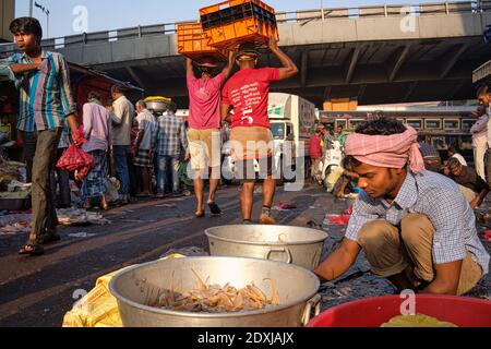 Ein kleiner Anbieter von Meeresfrüchten, der Garnelen auf einem Open-Air-Fischmarkt sortiert, unter reger Marktaktivität; in der Nähe des Crawford Market in Mumbai, Indien Stockfoto