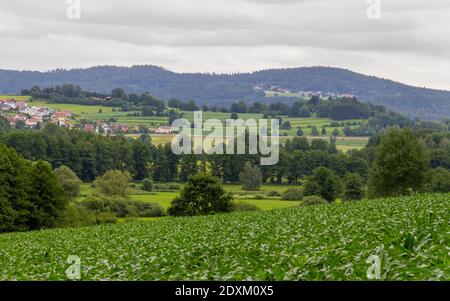 Idyllische Landschaft rund um Wiesenfelden im Bayerischen Wald im Sommer Zeit Stockfoto