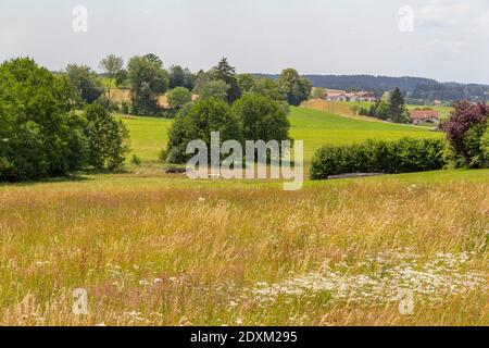 Idyllische Landschaft rund um Wiesenfelden im Bayerischen Wald im Sommer Zeit Stockfoto