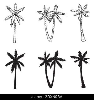 Set von Palmen Ikonen schwarze Silhouetten isoliert tropische Palme. Stock Vektor
