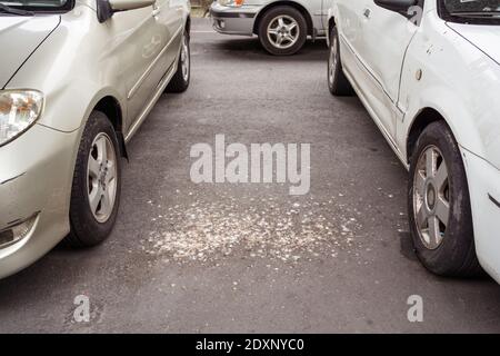 Vogelkot auf dem Asphalt auf einem Parkplatz dazwischen Zwei Autos in Taiwan Stockfoto