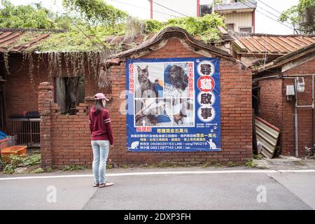 Hsinchu / Taiwan - 20. März 2020: Junge asienfrau schaut auf riesiges verpasster Katze Werbeplakat Stockfoto