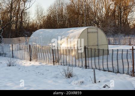 Kleines Polycarbonat-Gewächshaus im Gemüsegarten. Gewächshaus im Winter. Stockfoto