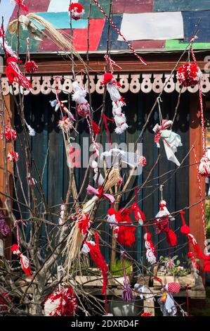 Ein Vorgeschmack auf die Dinge zu kommen, Ukraine Zuteilung Themenschau Garten im RHS Cardiff in 2014 Stockfoto