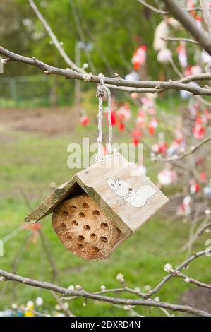 Hängende Insektenhaus in EINEM Vorgeschmack auf die Dinge zu kommen, Ukraine Zuteilung Themenschau Garten im RHS Cardiff in 2014 Stockfoto