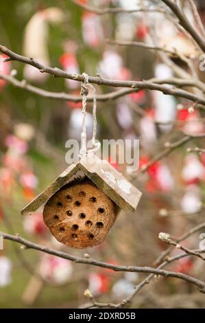 Hängende Insektenhaus in EINEM Vorgeschmack auf die Dinge zu kommen, Ukraine Zuteilung Themenschau Garten im RHS Cardiff in 2014 Stockfoto