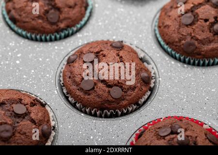 Frisch gebackene Muffins in einer Auflaufform Stockfoto