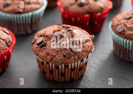 Schokoladenmuffin. Muffin oder Tasse Kuchen mit Schokolade bestreut. Seitenansicht. Nahaufnahme. Stockfoto