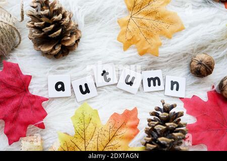 Das Wort Herbst mit Holzbuchstaben und trockenen Blättern geschrieben Auf weißem Hintergrund Stockfoto