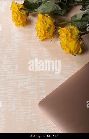Fragment eines rosa Notizbuchs. In der Nähe sind gelbe Rosen. Die Oberfläche ist in weiß und beige lackiert. Stockfoto