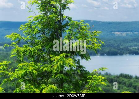 Ein Blick auf den Lake Waramaug von oben auf der Spitze auf dem marcicpstas Preserve in New Preston Connecticut im Sommer. Stockfoto