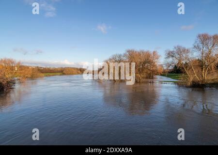 Northampton, Großbritannien 24. Dezember 2020. Nach 24 Stunden starken sintflutartigen Regens gestern, dem 23., wird das Nene Tal in Northamptonshire überflutet, da der Fluss Nene an vielen Stellen überflutet ist, in der Nähe des Holiday Inn am bedford Kreisverkehr. Kredit: K J Smith./Alamy Live Stockfoto