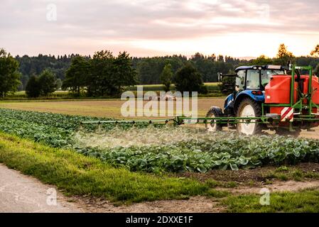 Traktor Pflanzenschutz Kohl Feld Stockfoto