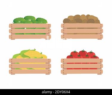 Gemüse in Holzkisten, isoliert auf weißem Hintergrund. Tomaten, Kartoffeln, Mais und Gurken. Illustration von Bio-Lebensmitteln. Stock Vektor