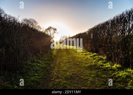 Zwei Wanderer gehen einen langen Weg in Little Offley, Hertfordshire, Großbritannien Stockfoto