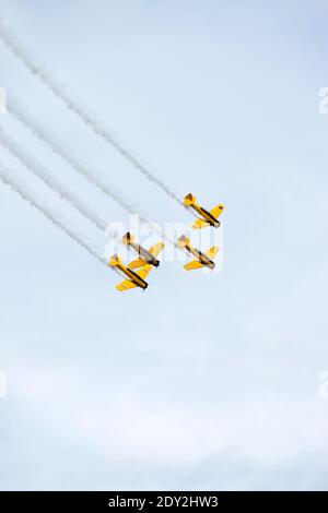 Das kanadische Harvard Aerobatic Team fliegt mit dem North American Aviation T-6 Texan, einem Trainer aus der Zeit des Zweiten Weltkriegs, der in Kanada als „Harvard“ bekannt ist. Stockfoto