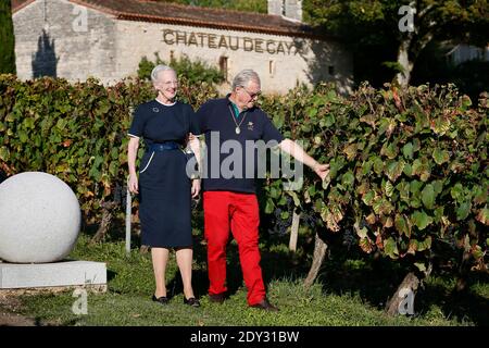 Exklusiv - Dänische Königin Margrethe und ihr Mann Prinz Henrik posieren für unseren Fotografen in ihrem Schloss in Lot, in der Nähe von Cahors, Südfrankreich am 03. Oktober 2014. Das dänische Königspaar kommt in seinem Chateau de Cayx an, das sich im Weinviertel von Cahors befindet, um den Beginn der Weinlese zu werfen. Sie nahmen auch an Dreharbeiten eines Dokumentarfilms über ihre Burg und ihre Weine Teil. Die dänische Königin Margrethe und Prinz Henrik feiern die Einweihung ihres privaten Museums mit 4000 Kunstwerken in ihrem Schloss und werden am Ende ihres Aufenthalts in Frankreich der Öffentlichkeit zugänglich gemacht. Foto von Stockfoto