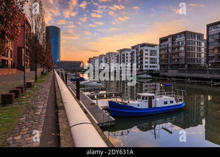 Morgenstimmung in einem Wohngebiet im Westen Frankfurts. Sonnenaufgang mit Wolken zwischen den Gebäuden und Main Flusslauf. Straße mit Baum Stockfoto