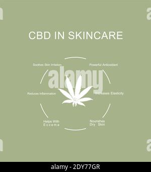 Infografiken CBD-Eigenschaften in der Hautpflegebehandlung. Cannabis bei der Behandlung von Hautbedenken. Vektorgrafik Konzept.. Stock Vektor