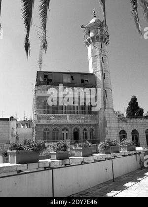 Le haut Minaret de la mosquée blanche situé en face de l'Hospice autrichien dans le quartier musulman de Jérusalem. Palästina Israël Stockfoto