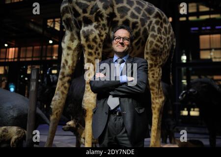Martin Hirsch, der am 11. Dezember 2014 in der Grande Galerie De L'Evolution in Paris, Frankreich, zum 20-jährigen Jubiläum von La Chaine De L'Espoir teilnahm. Foto von Alban Wyters/ABACAPRESS.COM Stockfoto