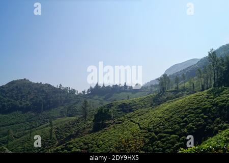 Chembra Gipfel in wayanad, Kerala. Chembra Peak ist einer der höchsten Gipfel in den Western Ghats und der höchste Gipfel in Wayanad Hills, mit 2,100 m über Stockfoto