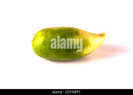 Auf weißem Hintergrund ist der Wurzelgemüse-Radieschen Margelan isoliert Stockfoto